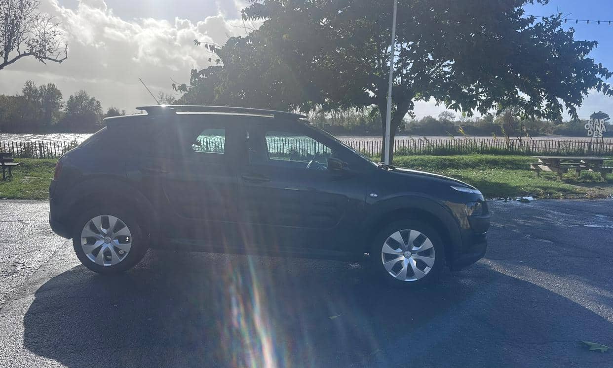 Citroen C4 CACTUS — photo 6