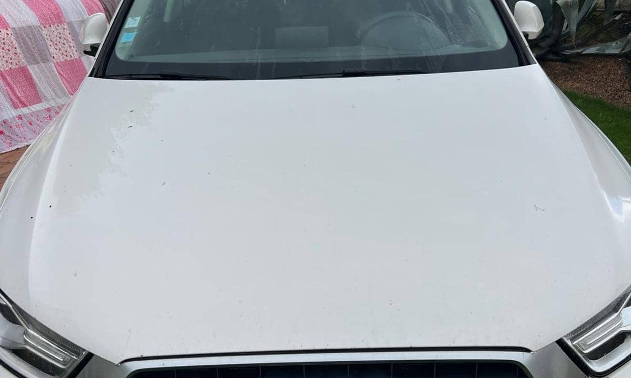 Audi Q3 — photo 2