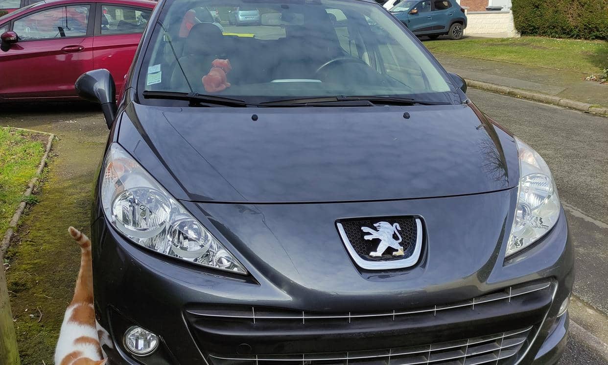 Peugeot 207 — photo 2