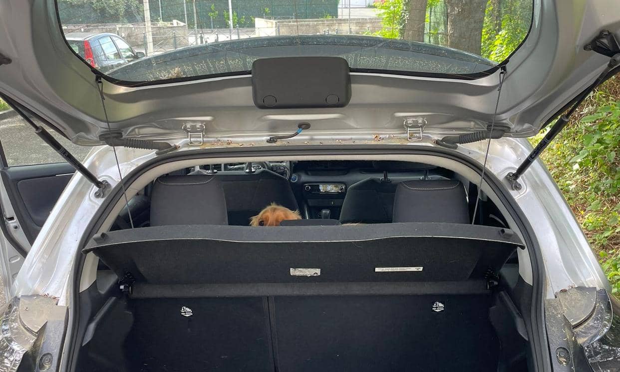 Toyota YARIS — photo 8