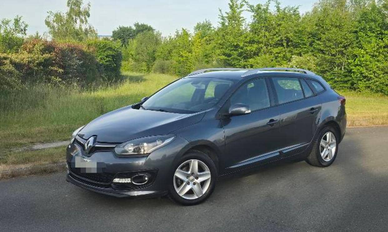 Renault MEGANE III — photo 14