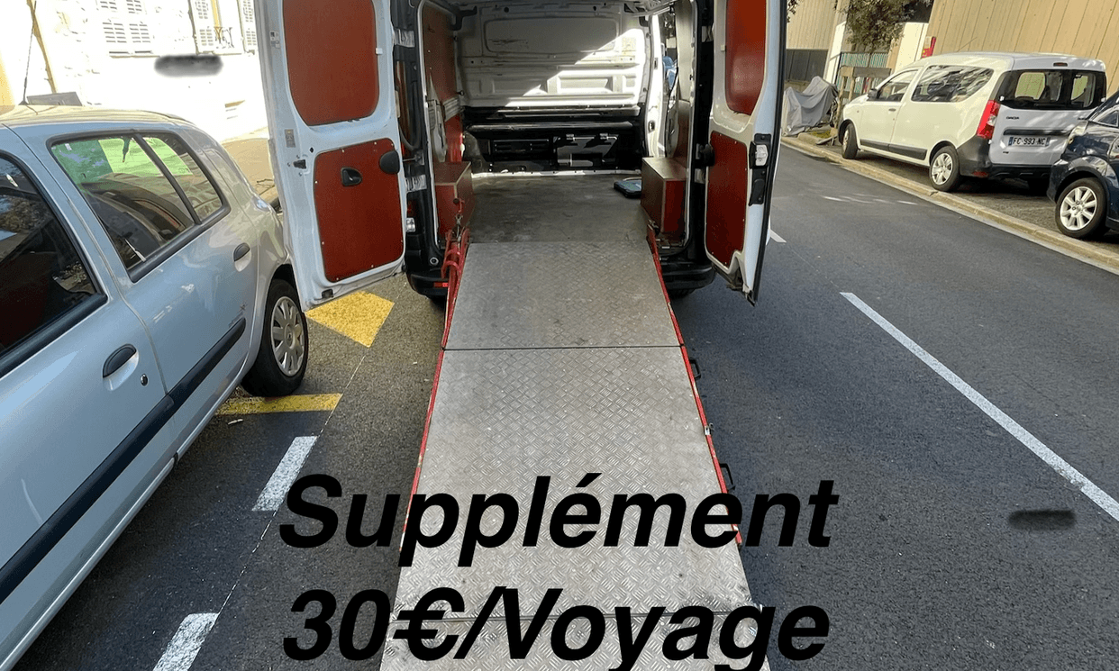 Renault TRAFIC III — photo 6
