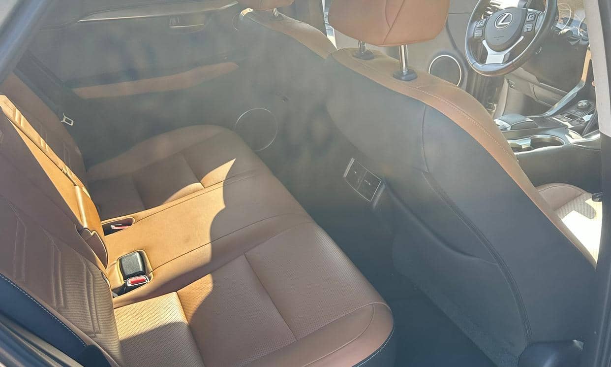 Lexus NX — photo 11