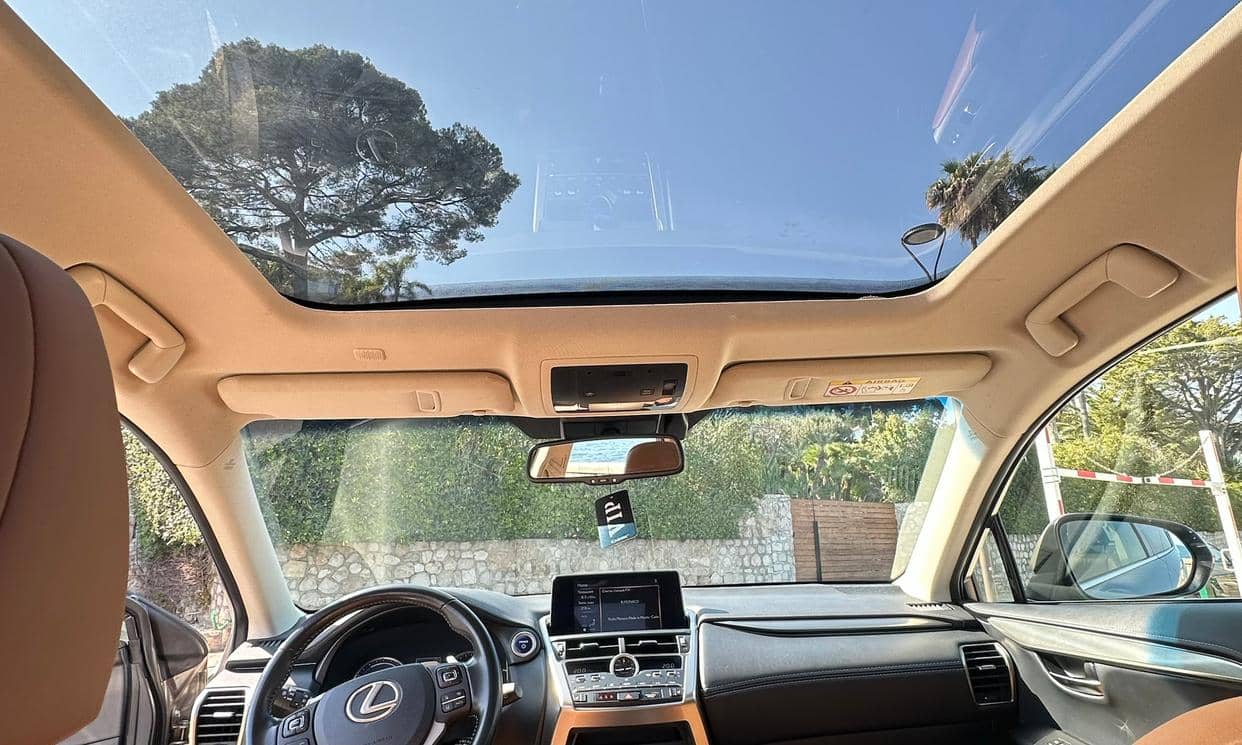 Lexus NX — photo 13