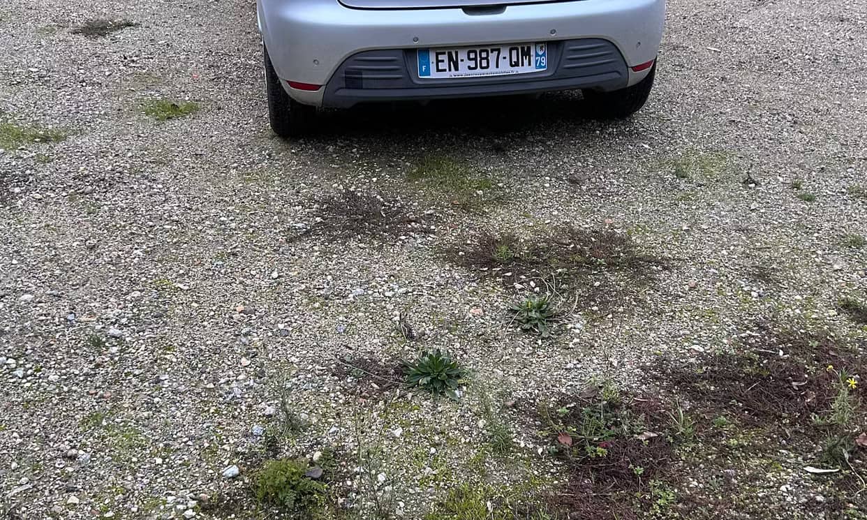 Renault CLIO IV — photo 11