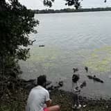 Rodrigue