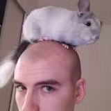 Hugo