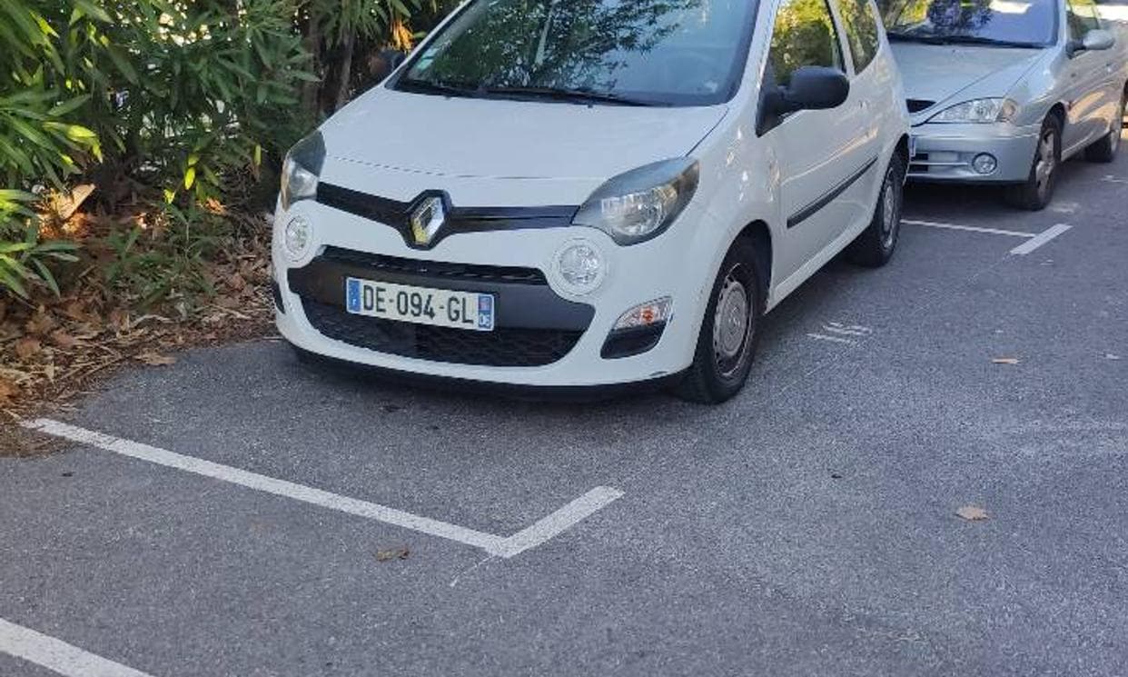 Renault TWINGO SOCIETE II